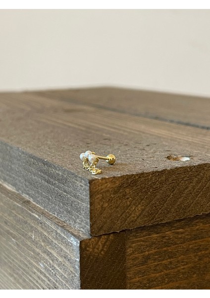 925 Ayar Gümüş Incili Zincir Sallantılı Piercing Gümüş Piercing fiyatları