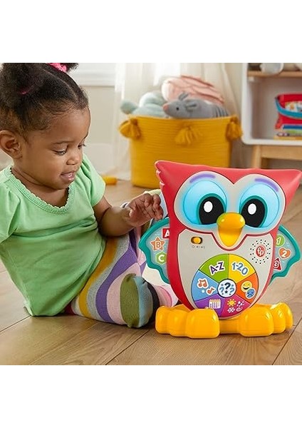 Price Fisher-Price Linkimals - Bilge Baykuş, 18 Aylık, HJN61 fırsatları