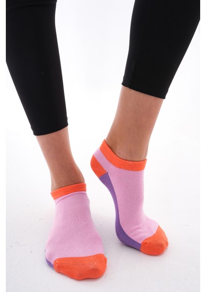 Colourful (Dikişsiz) Renkli % Pamuklu Kadın Çorabı,nefes Alabilen Terletmez Yumuşak Düz Patik Çorap