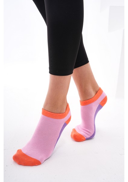 Colourful (Dikişsiz) Renkli % Pamuklu Kadın Çorabı,nefes Alabilen Terletmez Yumuşak Düz Patik Çorap modelleri
