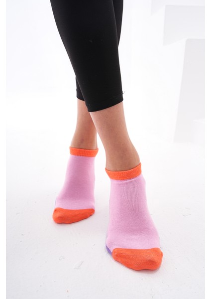 Colourful (Dikişsiz) Renkli % Pamuklu Kadın Çorabı,nefes Alabilen Terletmez Yumuşak Düz Patik Çorap fırsatları