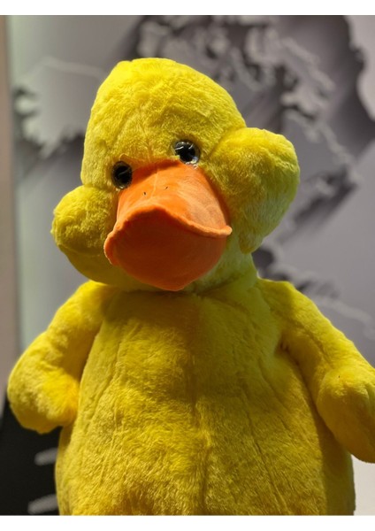 Çok Tatlımı Tatlı Ördek 60CM