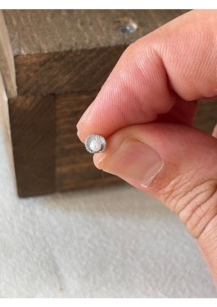 925 Ayar Gümüş Deniz Kabuğu Incili Kıkırdak Helix Tragus Piercingi Gümüş Piercing