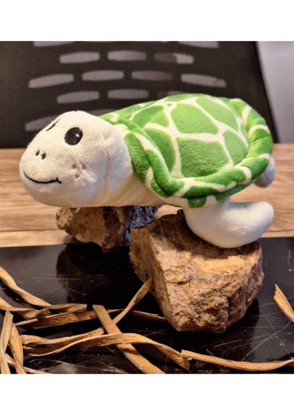 Caretta Caretta Kaplumbağa Küçük