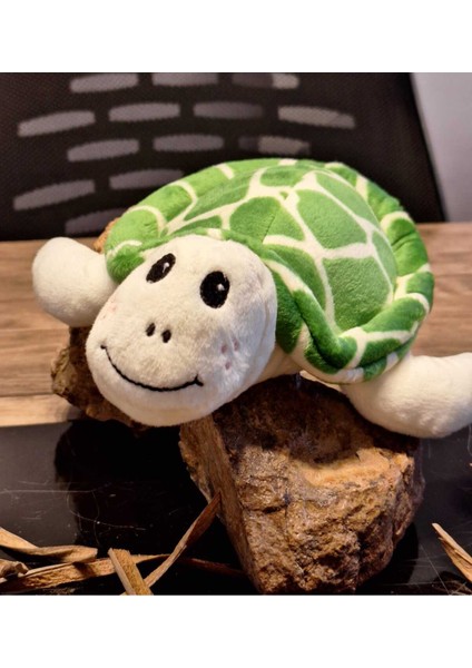 Caretta Caretta Kaplumbağa Küçük fiyatları