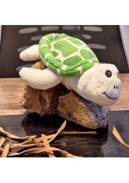 Caretta Caretta Kaplumbağa Küçük modelleri