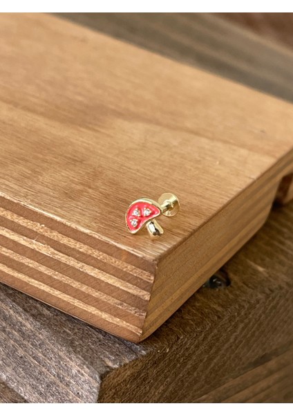 925 Ayar Gümüş Mineli Taşlı Dudak Helix Tragus Kıkırdak Piercingi Gümüş Piercing