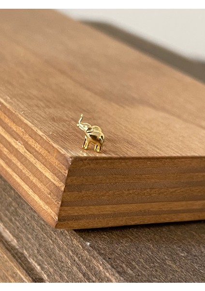 925 Ayar Gümüş Fil Tragus Kıkırdak Helix Piercingi Gümüş Piercing fiyatları