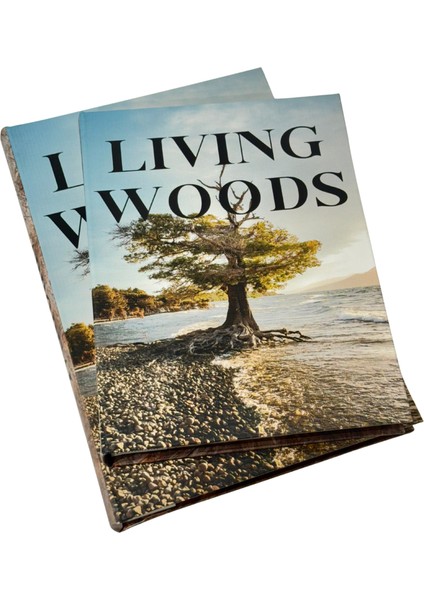 Living Woods Kitap Kutu Seti fiyatları