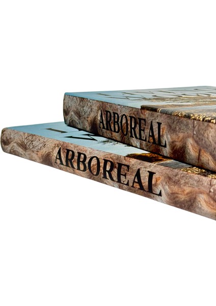 Living Woods Kitap Kutu Seti modelleri