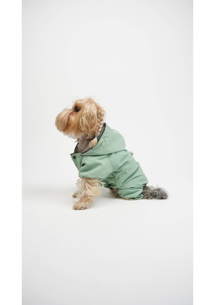 Köpek Kedi Sihirli Yağmurluk fiyatları