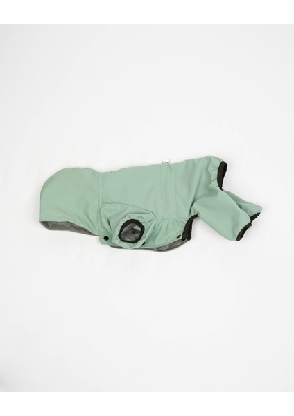 Köpek Kedi Sihirli Yağmurluk