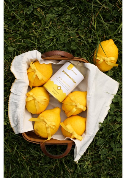 İmmuniTEA Bitki Çayı Güçlü Savunma - Zencefil, Ekinezya ve Kuşburnu İçeren Çay 50g modelleri