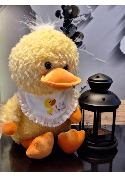 Cam Göz Büyük Ördek 33CM modelleri