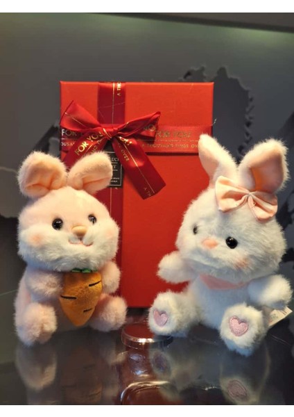 Yaramaz Tavşan Kardeşler Peliş Anahtarlık Hediyelik Set