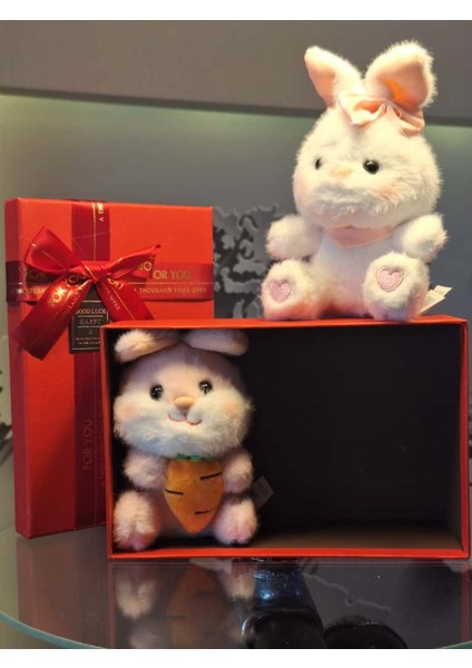 Yaramaz Tavşan Kardeşler Peliş Anahtarlık Hediyelik Set modelleri