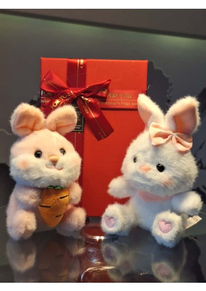 Yaramaz Tavşan Kardeşler Peliş Anahtarlık Hediyelik Set fırsatları