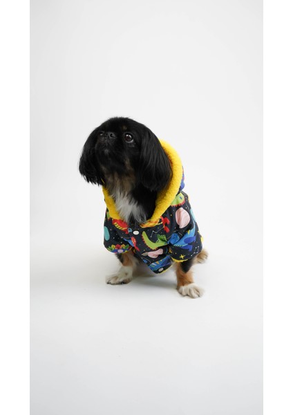 Köpek Kedi Yağmurluk Cosmic