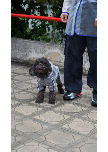 Köpek Kedi Şeffaf Tulum indirimleri