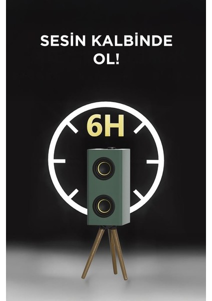 D67 Yeşil Kablosuz Hoparlör 24W Çift Sürücü, 3000MAH Batarya, Taşınabilir Ayaklı Speaker