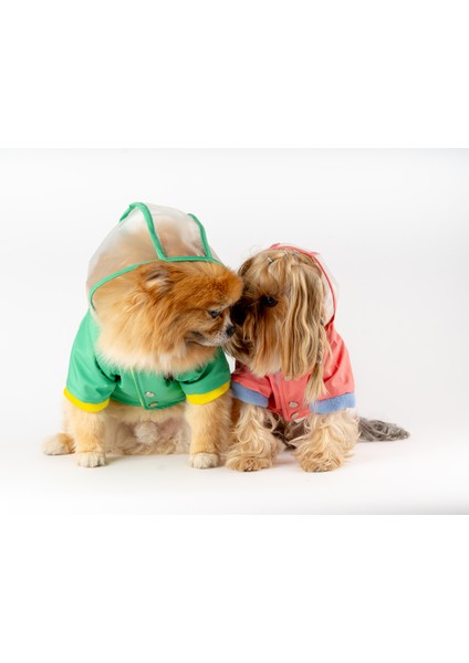 Köpek Kedi Şeffaf Yağmurluk indirimleri