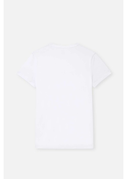 Erkek Pamuklu O Yaka 2'li Paket Tshirt D5120 modelleri