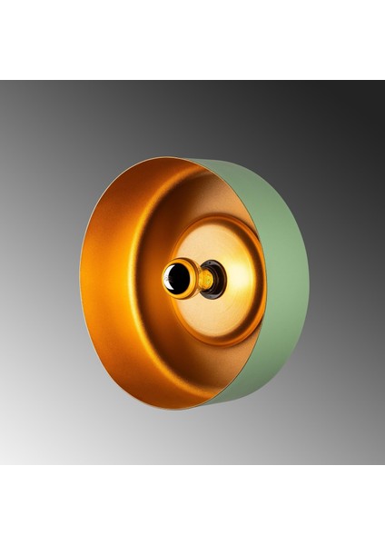 Vesta Modern Metal Sıvama Başlıklı Tekli Aplik Yeşil, Minimalist Duvar Lambası VESTA-15072 indirimleri