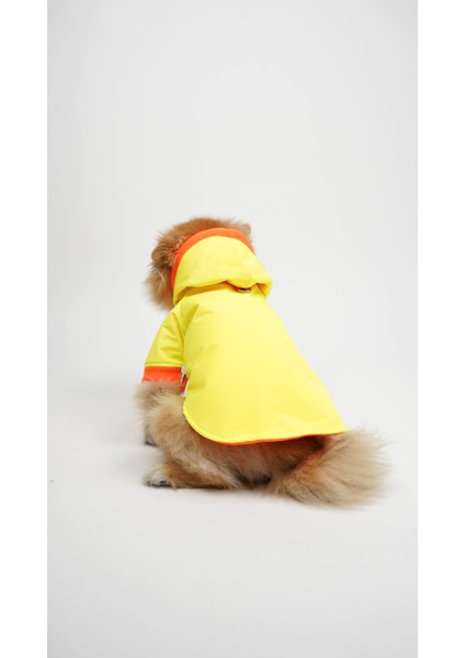 Köpek Kedi Yağmurluk Aurora fiyatları