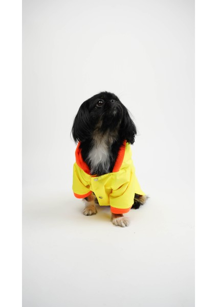 Köpek Kedi Yağmurluk Aurora indirimleri