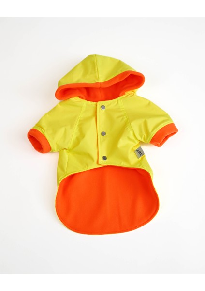 Köpek Kedi Yağmurluk Aurora