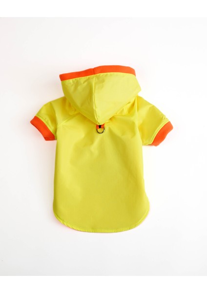 Köpek Kedi Yağmurluk Aurora