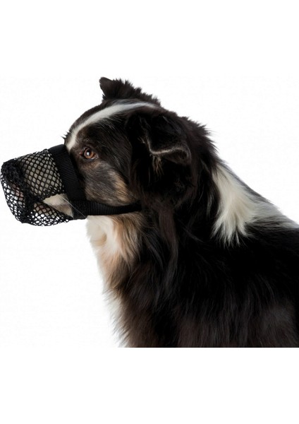 Mtxdpn Trixie Köpek Ağızlığı Xs-S Siyah fiyatları