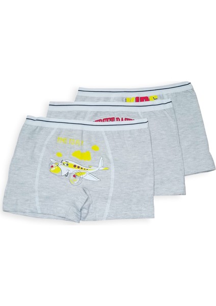 Erkek Çocuk 3 Lü Ekonomik Boxer