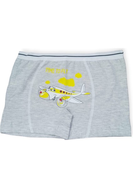 Erkek Çocuk 3 Lü Ekonomik Boxer fiyatları