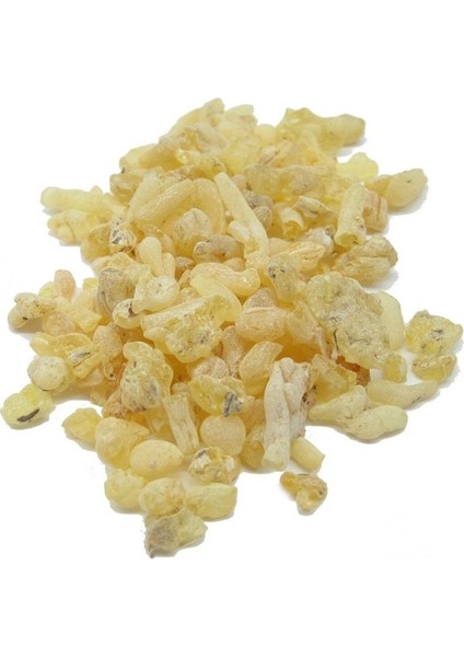 100 gr - Doğal Sandoloz Sakızı - Sandaloz Sakızı- Sandaroz fiyatları