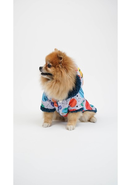 Köpek Kedi Yağmurluk Galaxy fiyatları