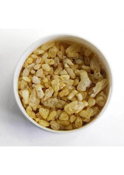 100 gr - Doğal Sandoloz Sakızı - Sandaloz Sakızı- Sandaroz modelleri