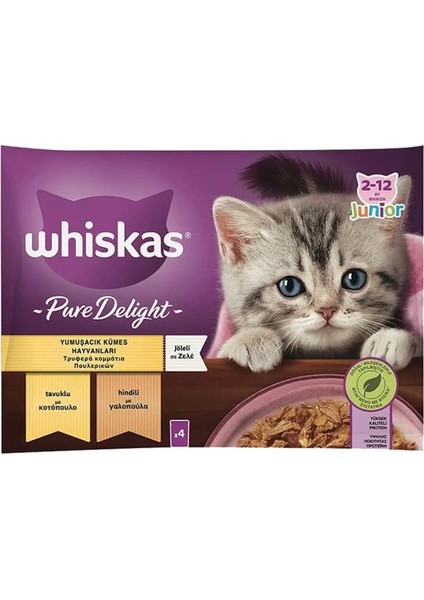 Junior Kitten Pure Delight Pouch Kedi Yaş MAMA(4X85GR)5ADET Kümes Hayvanlı Tavuk Hindi Jöle fiyatları