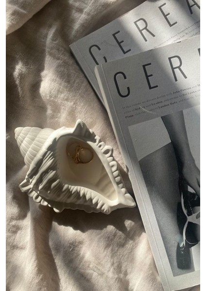 Deniz Kabuğu Mini Aksesuar Tabağı Dekoratif Beton fırsatları