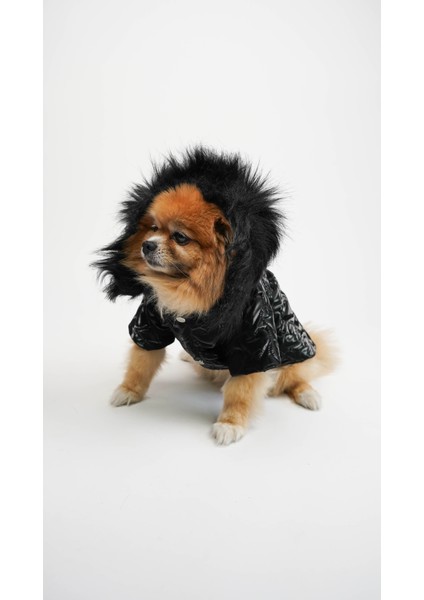 Köpek Kedi Heart Luxe Mont