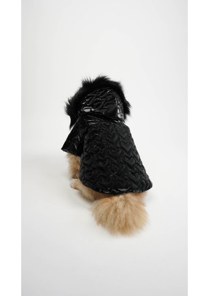 Köpek Kedi Heart Luxe Mont modelleri