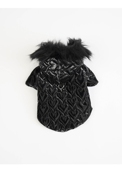 Köpek Kedi Heart Luxe Mont fırsatları