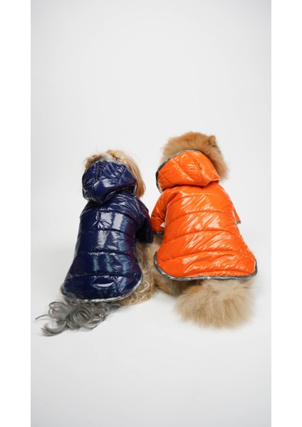 Köpek Kedi Parlak Kumaş Mont modelleri