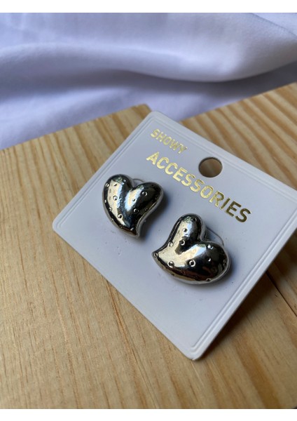 Kararmaz Çelik Kalp Detaylı Gümüş Küpe fiyatları