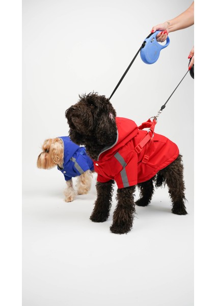 Köpek Kedi Yağmurluk Royal Guard