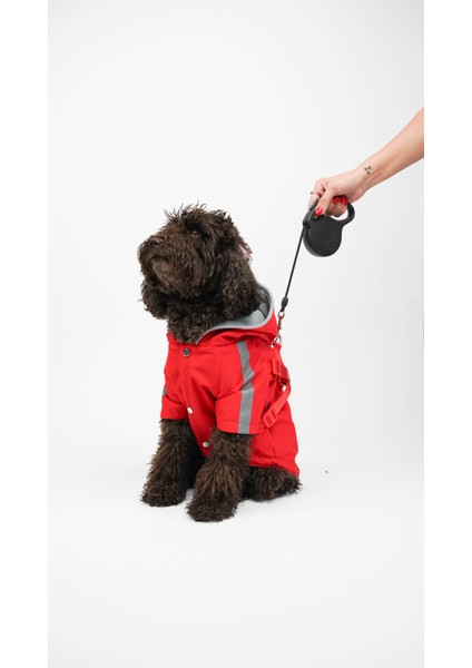 Köpek Kedi Yağmurluk Royal Guard fiyatları