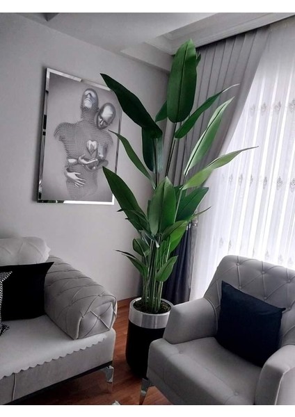 Siyah Gümüş Darbuka Saksıda Starliçe - 210 modelleri