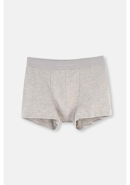 Erkek Pamuklu Lastik Detaylı 3'lü Paket Boxer D5210