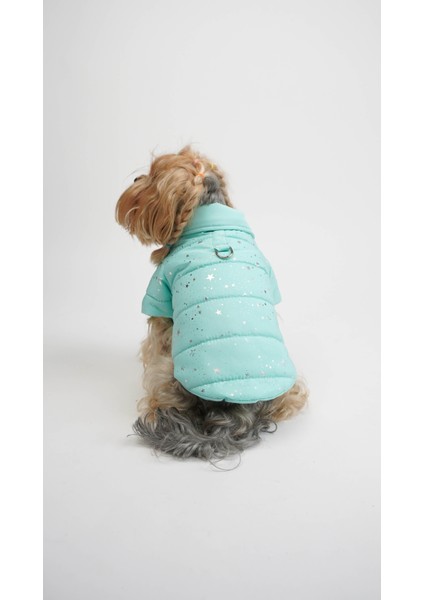 Köpek Kedi Angel Glow Mont fiyatları