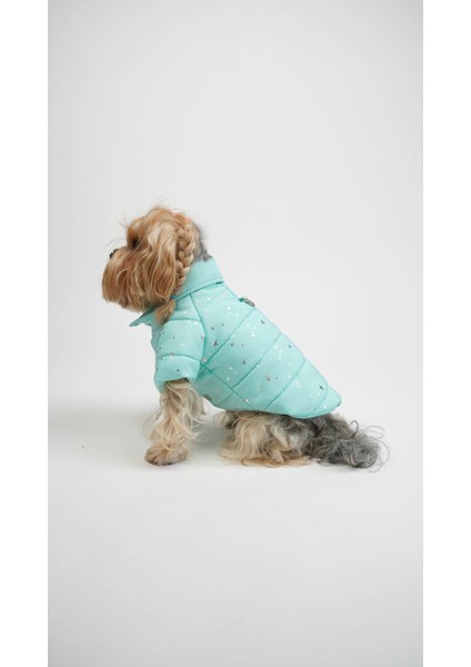 Köpek Kedi Angel Glow Mont modelleri